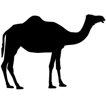 Camel icon on white background. camel sign. flat style. Stock Illustration