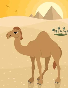 Camel Stock Illustration