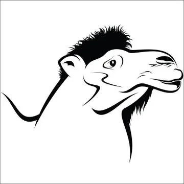 Camel Ilustração Stock