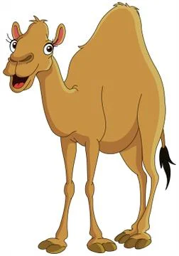 Camel Stock Illustration