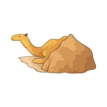 Camel illustration Stock Illustration