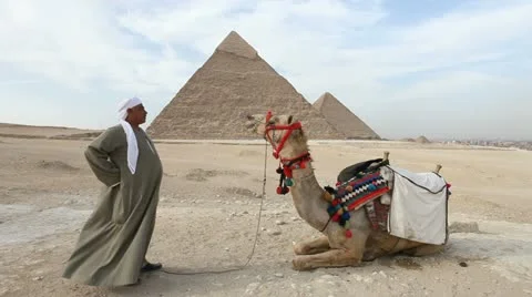 Camel infront of Kefren and Cheops Pyramids of Giza. Cairo. Egypt. Stock-Footage 10936884