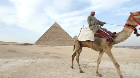 Camel infront of Kefren and Cheops Pyramids of Giza. Cairo. Egypt. Video stock 10937231