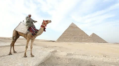 Camel infront of Kefren and Cheops Pyramids of Giza. Cairo. Egypt. Stock-Footage 10937445