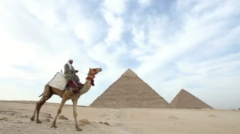 Camel infront of Kefren and Cheops Pyramids of Giza. Cairo. Egypt. Video stock 10937683