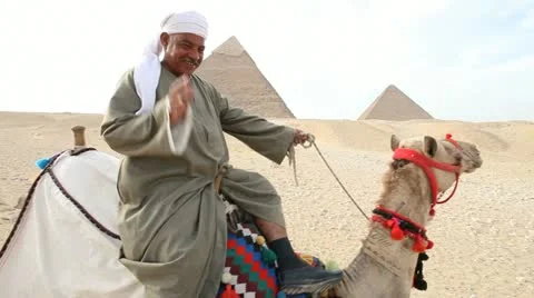 Camel infront of Kefren and Cheops Pyramids of Giza. Cairo. Egypt. Video stock 10937952