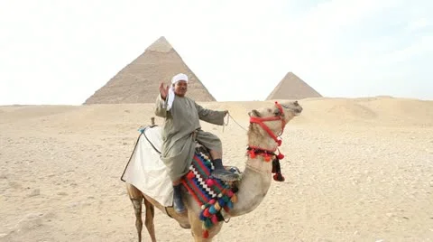 Camel infront of Kefren and Cheops Pyramids of Giza. Cairo. Egypt. Stock-Footage 10938208
