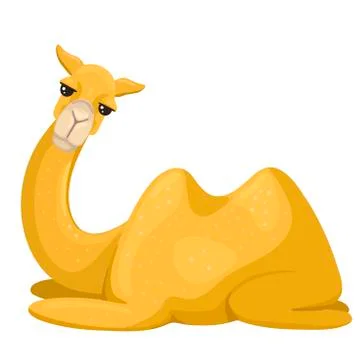 Camel lies on its paws. Looking forward, smiling. Vector character Stock Illustration