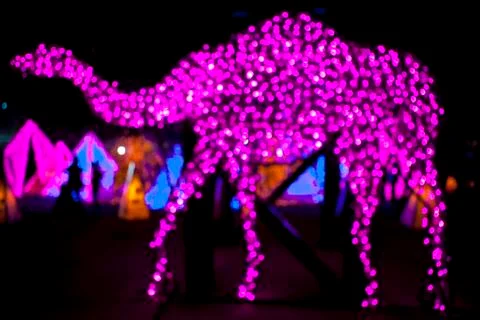 Camel light Stock Photos