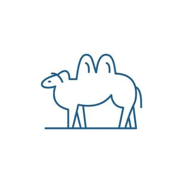 Camel line icon concept. Camel flat  vector symbol, sign, outline illustration. Illustrazione stock