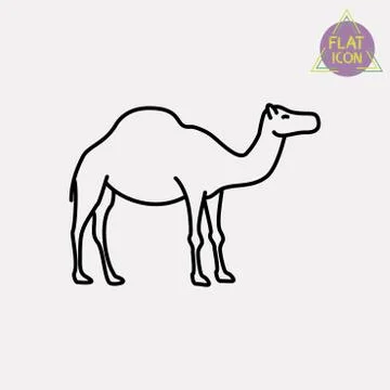Camel line icon Stock Illustration
