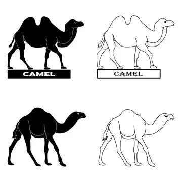 Camel logo Stock Illustration