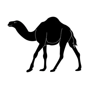 Camel logo Stock Illustration