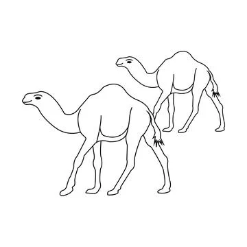 Camel logo Stock Illustration