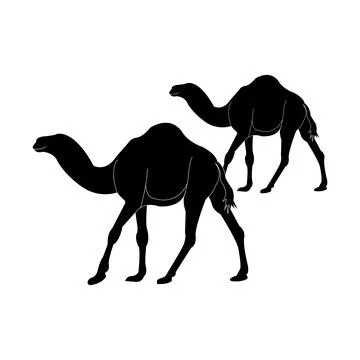 Camel logo Stock Illustration
