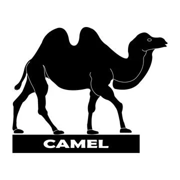 Camel logo Stock Illustration