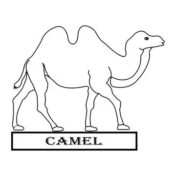 Camel logo Stock Illustration