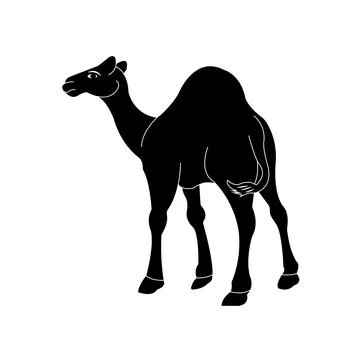 Camel logo Stock Illustration
