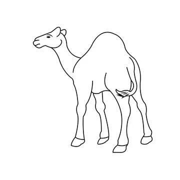 Camel logo Stock Illustration