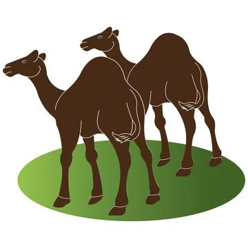 Camel logo Stock Illustration