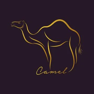 Camel logo vector Stock Illustration