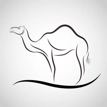 Camel logo vector Stock Illustration