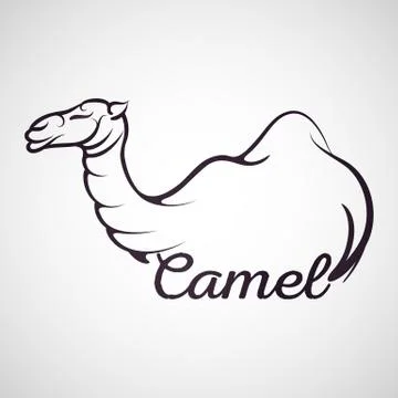 Camel logo vector Stock Illustration