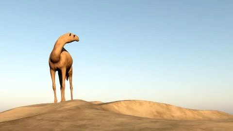 Camel looking behind - 3D render Stock Illustration
