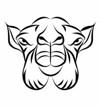 Camel Mascot Head Stock Illustration