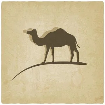 Camel old background Stock Illustration