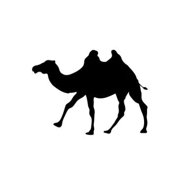 Camel outline vector icon, isolated on transparent background, concept illust Stock Illustration