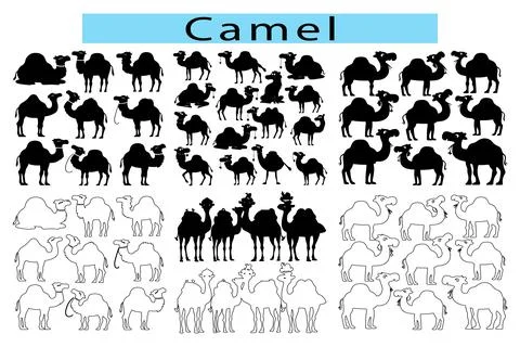 Camel outline vector illustration, Camel silhouette vector Stock Illustration