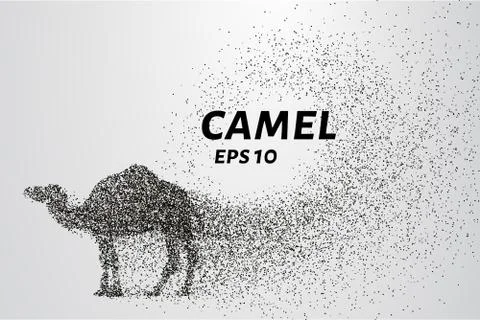Camel of the particles. Camel consists of circles and points. Vector illust.. Stock Illustration