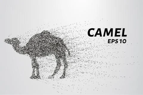 Camel of the particles. Camel consists of circles and points. Vector illust.. Stock Illustration