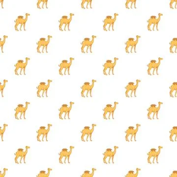 Camel pattern, cartoon style 스톡 일러스트