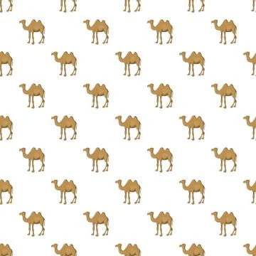 Camel pattern, cartoon style 스톡 일러스트