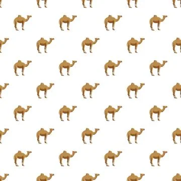 Camel pattern 스톡 일러스트