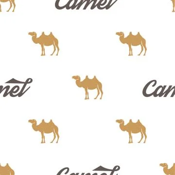 Camel pattern. Seamless background illustration with wild animal symbols Stock Illustration