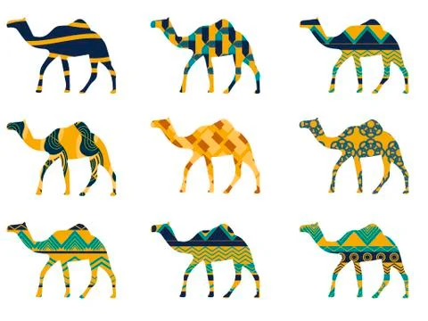 Camel with a pattern. Set of vector illustrations. 스톡 일러스트