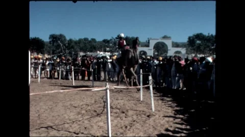 Camel Performance at Pushkar Fair Stock Footage 276293270