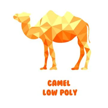 Camel. Polygonal vector illustration isolated on white background. Low poly Stock Illustration