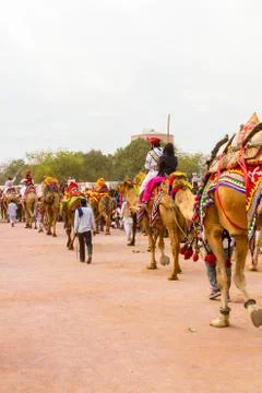 Camel procession Foto stock