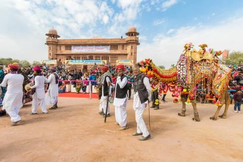 Camel procession Stock Photos