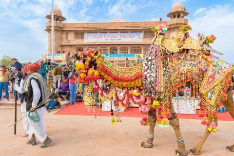 Camel procession Stock Photos