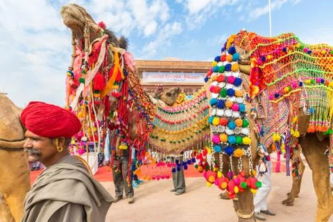 Camel procession Stock Photos