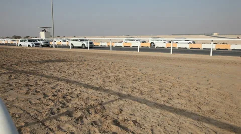 Camel race in Doha, Qatar Stockbeeldmateriaal 33928144