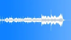 Camel Race Stock Music