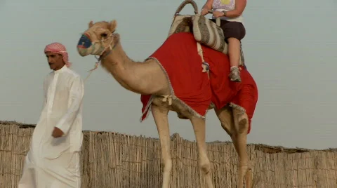 Camel Ride 库存影片 502406