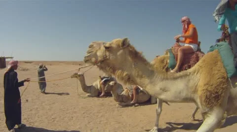 Camel ride Stock Footage 12154868