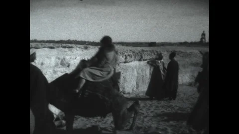 Camel Ride Giza Stock Footage 89701417